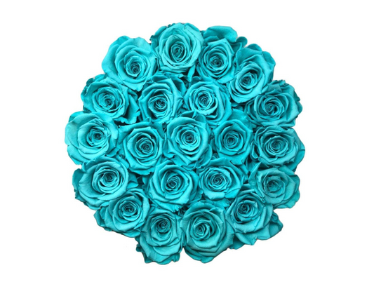 "Tiffany Please" Roses (ship)
