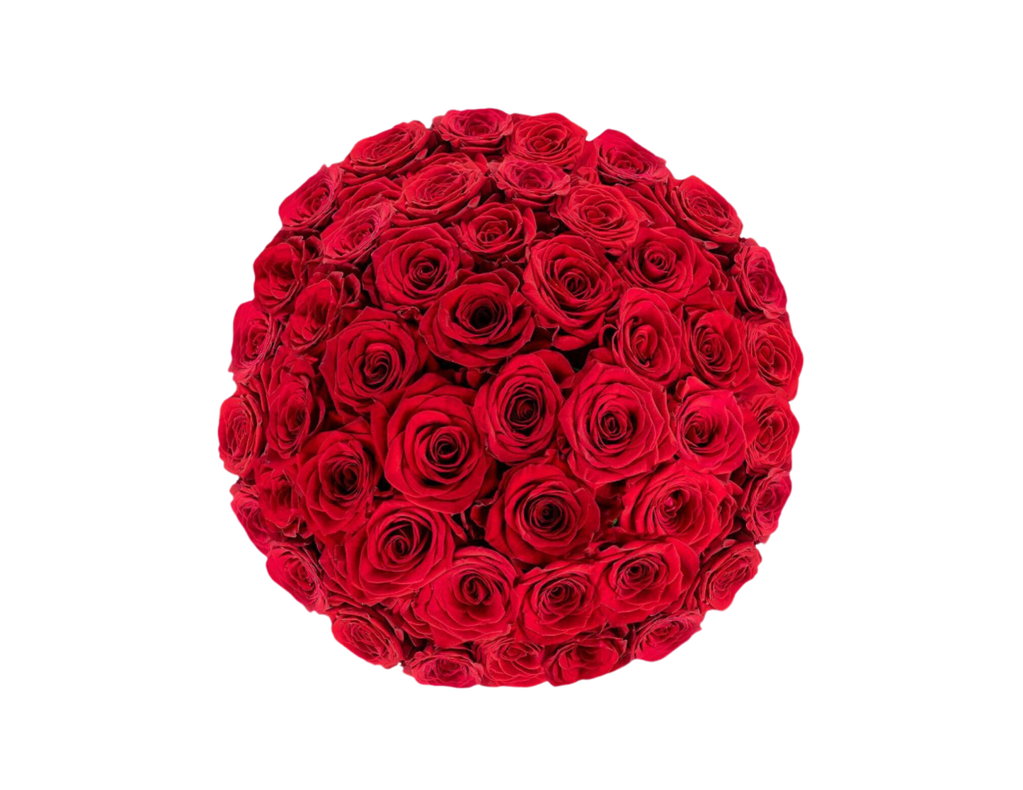 “Ava” Roses (ship)