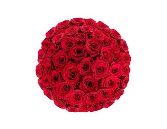 “Ava” Roses (ship)