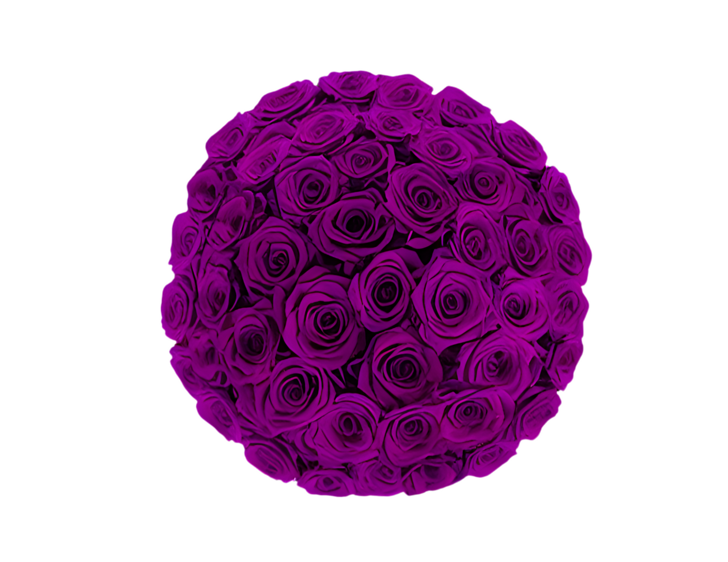 “Ruby” Roses (ship)