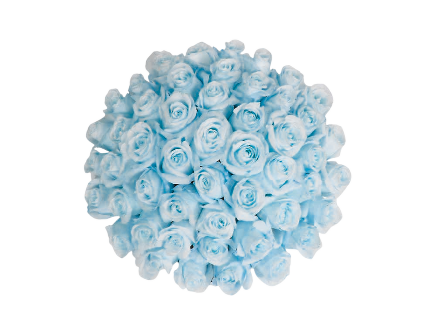 “Fiona” Roses (ship)