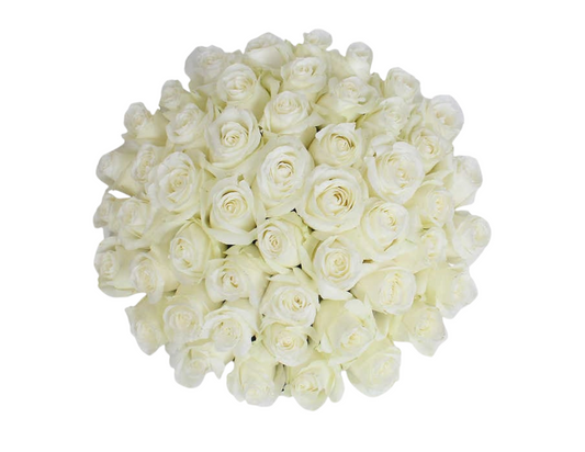 “Ella” Roses (ship)