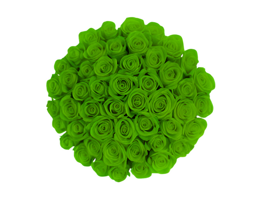 “Tilly” Roses (ship)