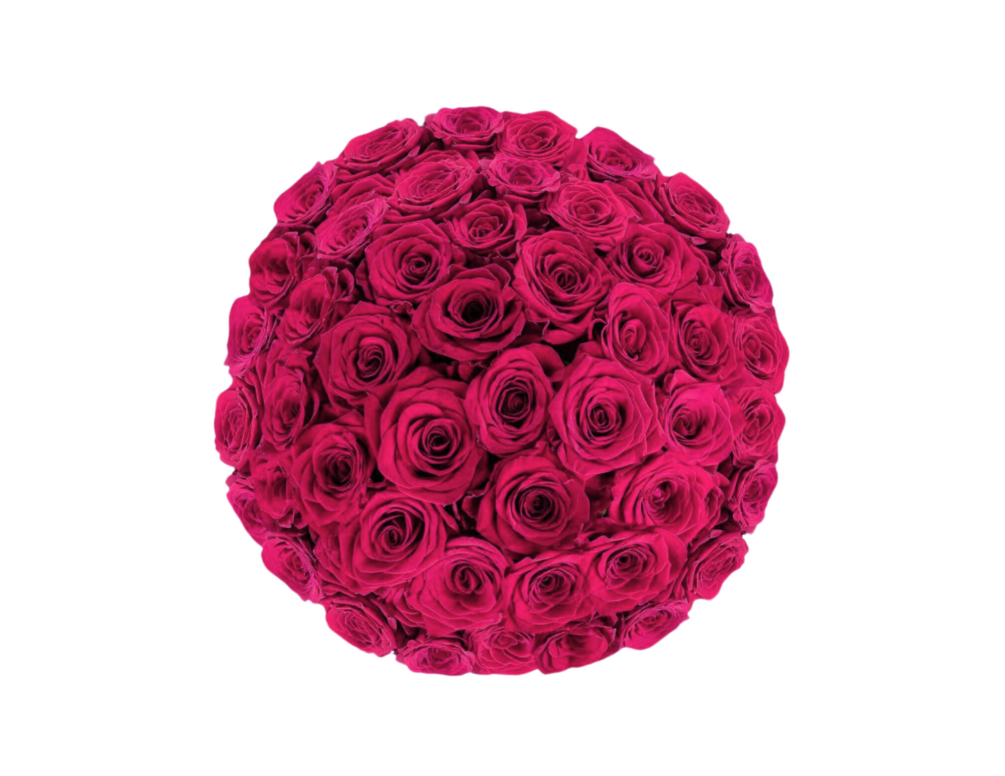 “Rosie” Roses (ship)