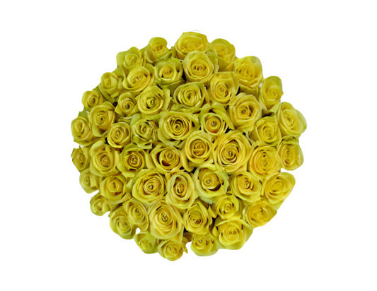 “Zoe” Roses (ship)