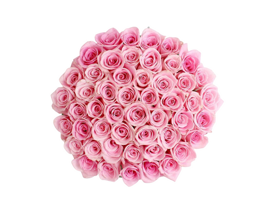 “Primrose” Roses (ship)