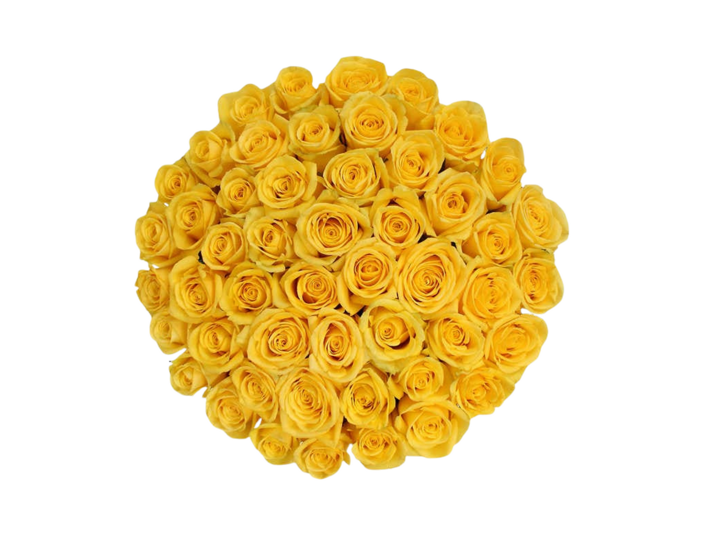 “lilly” Roses (ship)