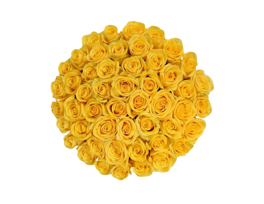 “lilly” Roses (ship)