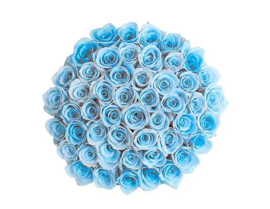 “Daisy” Roses (ship)