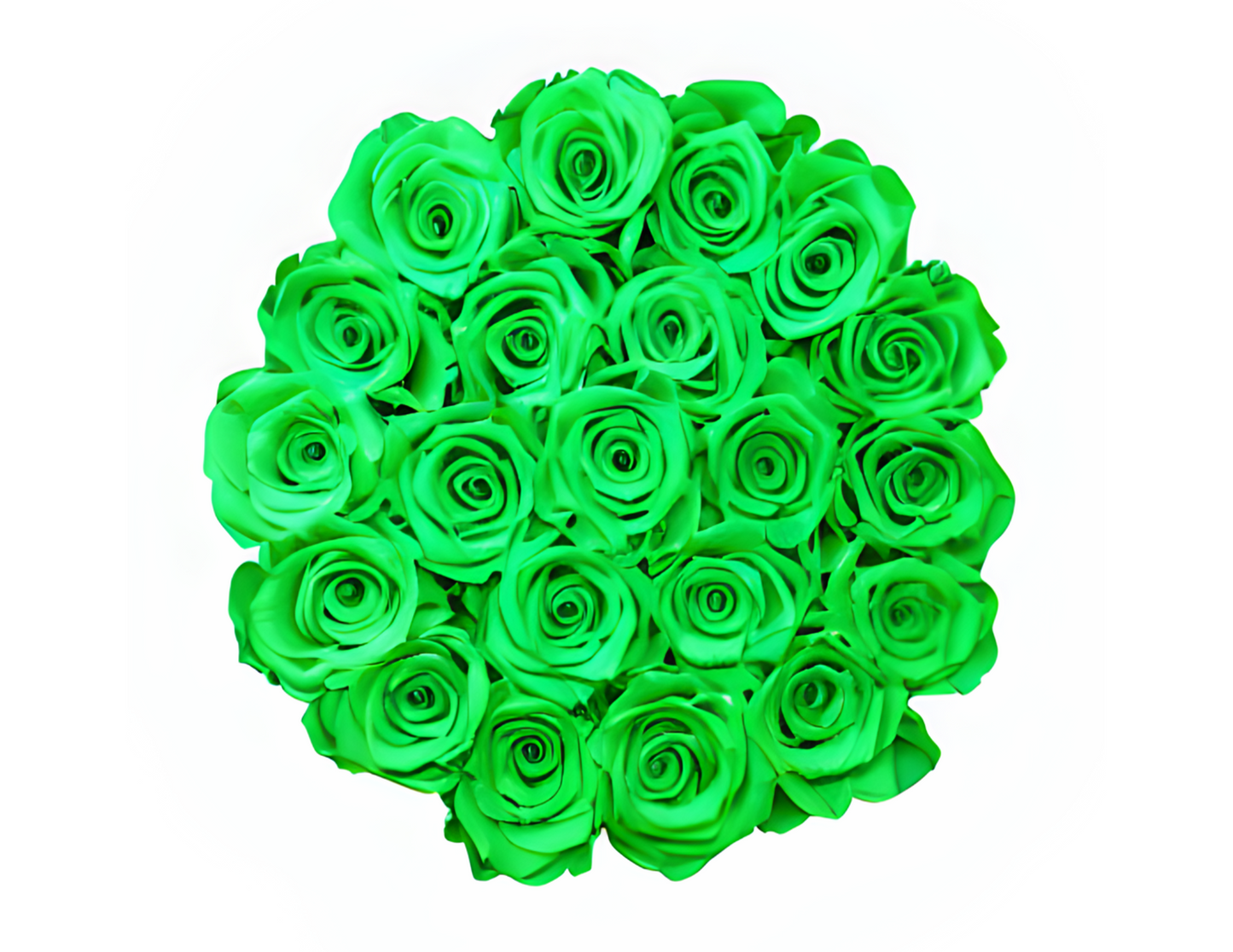 “Aria” Roses (ship)