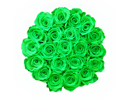 “Aria” Roses (ship)