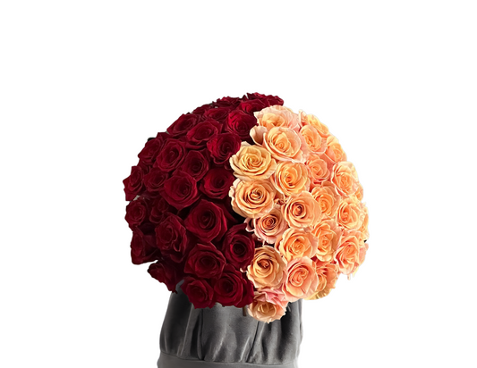 "Sophie" Roses (ship)