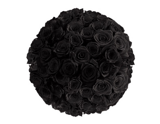 “Black Out” Roses